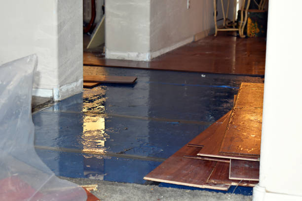 Professional Sewage Cleanup technician working in Waukegan, IL